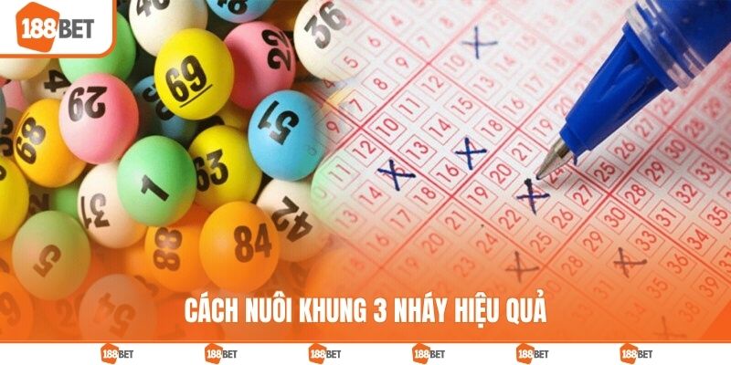 Cách nuôi khung 3 nháy hiệu quả