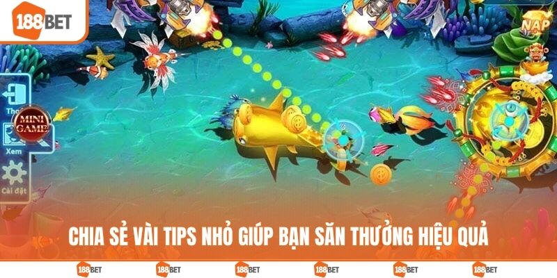 Chia sẻ vài tips nhỏ giúp bạn săn thưởng hiệu quả