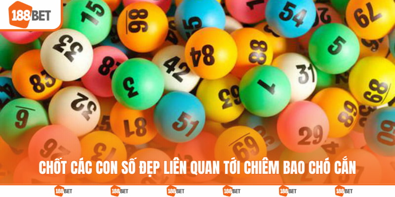 Chốt các con số đẹp liên quan tới chiêm bao chó cắn