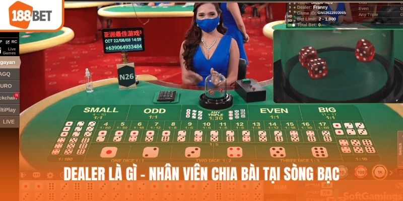 Dealer là gì - Nhân viên chia bài tại sòng bạc