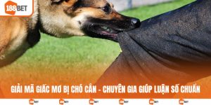 Giải mã giấc mơ bị chó cắn