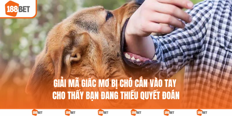 Giải mã giấc mơ bị chó cắn vào tay cho thấy bạn đang thiếu quyết đoán