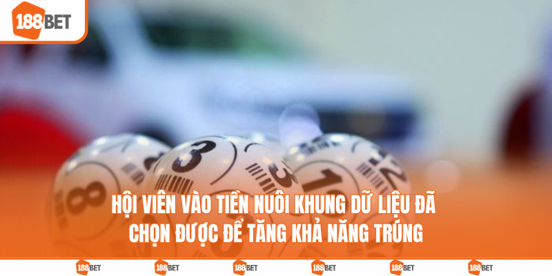Hội viên vào tiền nuôi khung dữ liệu đã chọn được để tăng khả năng trúng