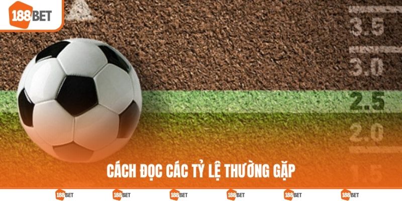 Kèo Tài Xỉu Là Gì? Bí Quyết Chốt Cược Như Dân Lão Luyện Các tỷ lệ O/U thường gặp và cách đọc chi tiết