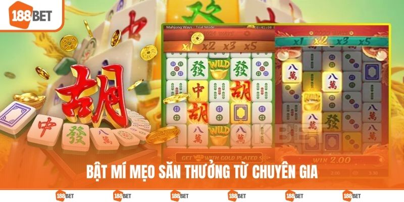 Mẹo săn hũ tiền tỷ như những dân chuyên đích thực