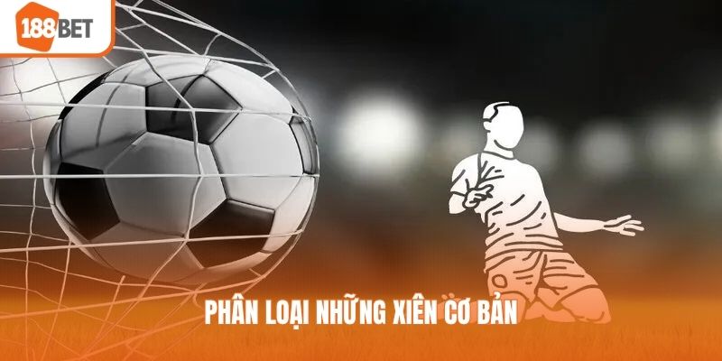 Phân loại những xiên cơ bản