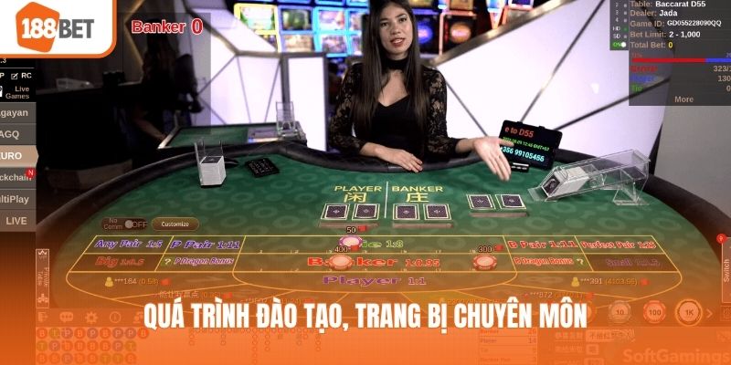 Quá trình đào tạo, trang bị chuyên môn