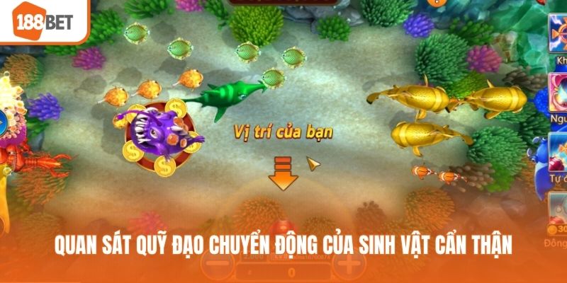 Quan sát quỹ đạo chuyển động của sinh vật cẩn thận