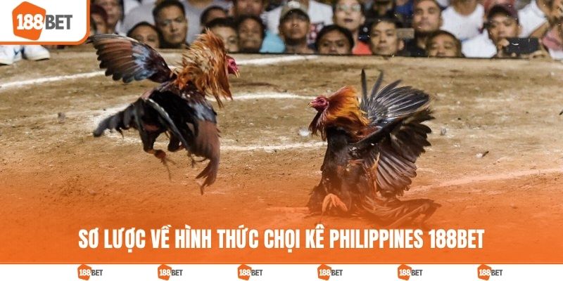 Sơ lược về hình thức chọi kê Philippines 188BET