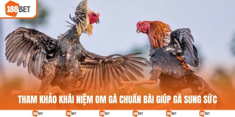 Tham khảo khái niệm om gà chuẩn bài giúp gà sung sức
