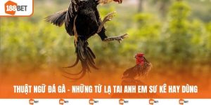 Thuật ngữ đá gà
