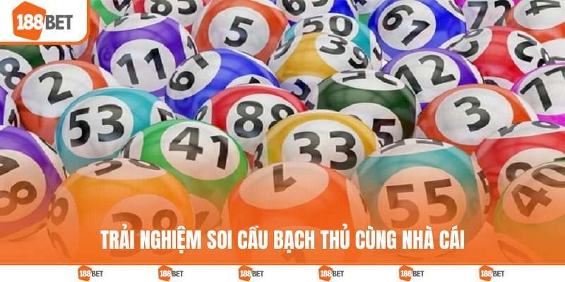 Bạch Thủ Lô | Giới Thiệu Phương Pháp Soi Cầu Thắng Lớn Trải nghiệm soi cầu bạch thủ cùng nhà cái
