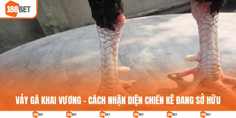 Vảy gà khai vương